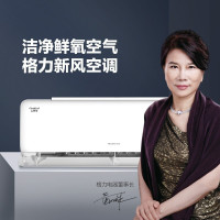 格力(GREE)新风空调 KFR-35GW/NhHf1BAj 1.5匹 云舒氧1级能效 壁挂式卧室挂机 1.5匹