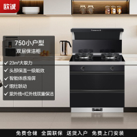 欧诚750小户型集成灶双层保洁柜 集成灶一体式 飓风大吸力侧吸下排式猛火环保家用一体机一体 保洁柜