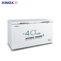 星星BD/BC-718GS 718升深冷低温冰柜-40℃商用大容量速冻水饺卧式冷冻柜家用鱼肉丸鲜肉雪柜全冷冻冷藏可转换
