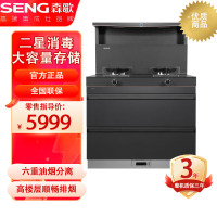 森歌(SENG)海豚系列L1集成灶 集成消毒柜款 二星级消毒一体式吸烟机燃气灶具 家用抽油烟机燃气灶 灰色天然气