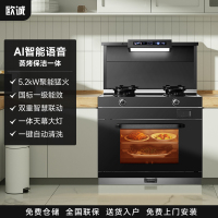 欧诚M17语音集成灶蒸烤炸一体 巨幕大灯大吸力抽油烟机燃气灶嵌入式蒸烤箱套装智能厨房家用一体灶