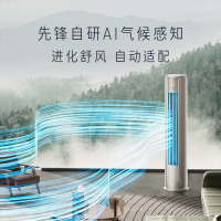 先锋圆柱立式空调冷热两用变频客厅家用2匹新一级能效先锋KFRd-51LW Y1+20BP1a
