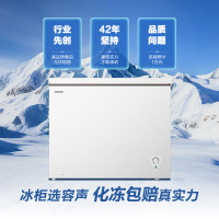 容声 BD/BC-249ZMSMA 249升冰柜家用减霜大容量冷藏冷冻两用一级能效雪糕厨房卧式冰柜冰箱