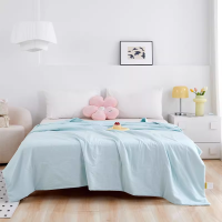 桑蚕丝被子春秋薄被夏凉被空调被夏天被芯可机洗四季通用2024新款