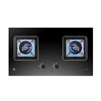 樱花JZT-B9209燃气灶5.0KW大火力煤气灶双灶具天然气液化气嵌入家用(天然气)