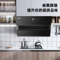 志高(CHIGO) 侧吸式F818大吸力抽油烟机家用 厨房脱排小型吸油烟机上门安装