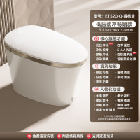 惠达(HUIDA)智能马桶ET520-Q带水箱无水压限制泡沫盾全自动电动一体坐便器 ET520-Q零水压+泡沫盾