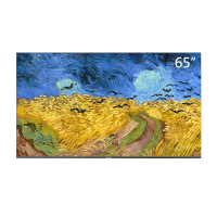 长虹电视 65U7H Mini 65英寸