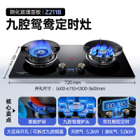 创维(Skyworth)燃气灶双灶 家用5.2kW猛火九孔聚能定时灶爆炒鸳鸯灶具 台式嵌入式灶台 Z211B天然气