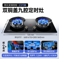 创维(Skyworth)灶具燃气灶双灶 双九孔5.0kW聚能定时猛火爆炒 家用台式嵌入式钢玻面板 Z213B液化气