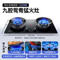 创维 燃气灶煤气灶双灶家用 5.0kW九孔聚能猛火鸳鸯灶具 台式/嵌入式 钢化玻璃灶台 Z209B液化气