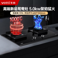 华帝(vatti)5.0KW大火力高效省气燃气灶天然气鸳鸯聚能炉灶嵌入式台式双灶具10062B(液化气咨询客服)
