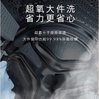 西门子(SIEMENS)10公斤全自动变频家用滚筒洗衣机 WB45XME18W 智能除渍 超氧洗护 深层除螨 LED触摸