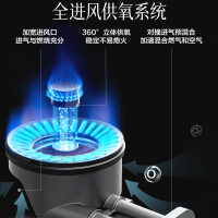 万和(Vanward)液化气燃气灶具煤气炉台式双灶家用5.0KW猛火 JZY-MB08-D9