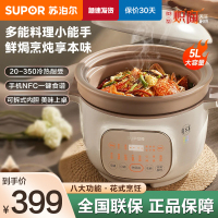 苏泊尔(SUPOR)中华炽陶电炖锅 电炖盅 煲汤锅炖汤锅 燕窝炖盅 煮粥锅 婴儿熬粥 电煮锅电炖锅DG50YC870