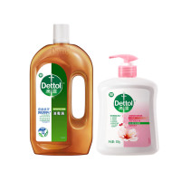 滴露消毒液750ml洗手液500g家具清洁消毒水清洁抑菌呵护双手