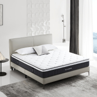 喜临门 - 飞跃plus 进口乳胶三区护脊独立弹簧透气芯材床垫席梦思