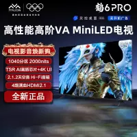 雷鸟鹤6 PRO 25款 85英寸 MiniLED 一级能效智能平板电视机85S595C Pro