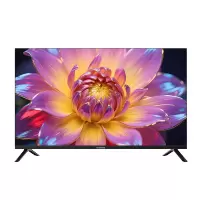 [5台起售]长虹 43D55H 43英寸