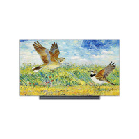 康佳小百灵 75G10 Pro 75英寸