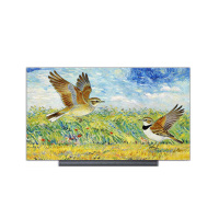 康佳小百灵 85G10Pro 85英寸