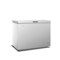 [官仓直发]美菱冰柜 BC/BD-300DTXNP 亚光银