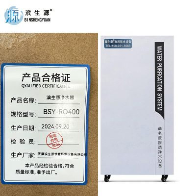 滨生源商用净水设备制水量60升内置11G压力桶小白柜式BSY-RO400(台)