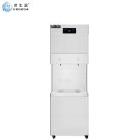 滨生源商用开水器五级反渗透直饮机BSY-B30(Y)(台)