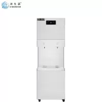 滨生源商用开水器五级反渗透直饮机BSY-B30(Y)(台)