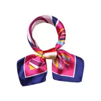 吾卫世 方巾 WS1 条