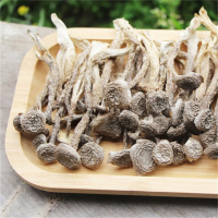 鹿茸菇干货大朵无碎无硫熏脆脆菇蘑云南菌特产正品官方旗舰店