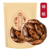 蝉蜕100g蝉知了壳蝉衣蝉皮蝉蜕蝉蜕壳蝉蜕粉