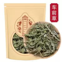 车前草250克g车前草干货袋泡茶新鲜泡水喝官方旗舰店
