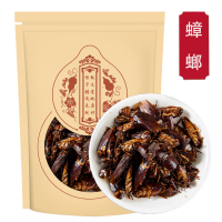 蟑螂100克袋装 蟑螂干小强偷油婆蟑螂虫干正宗茶婆虫滑虫蟑螂