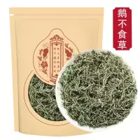 鹅不食草100g新鲜鹅不食草鹅不吃草可打粉末