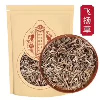 飞扬草250克飞扬草新货乳汁草正品节节花飞扬草