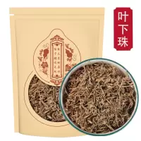 叶下珠500克袋装 新货正品叶下珠珍珠草龙珠草鱼鳞草夜合草