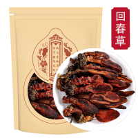 回春草250克云南新货正品顶天柱草苁蓉泡酒茶
