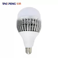 韬鹏 鳍片 灯泡 100W 个