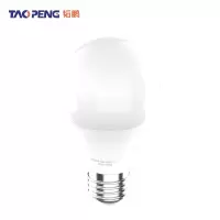 韬鹏 LED灯泡 12W 个