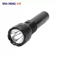 韬鹏 防爆 手电筒 强光巡检电筒 个