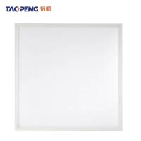 韬鹏 平板灯 TP-48 600*600MM 48W 个