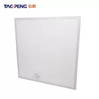 韬鹏 LED净化灯-300*600mm-24W