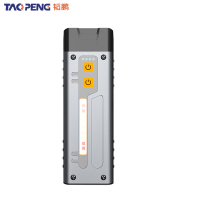 韬鹏 手电 XDD19 个