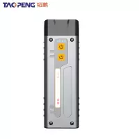 韬鹏 手电 XDD19 个