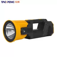 韬鹏 手电 大号 个