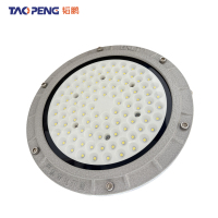 韬鹏 工矿灯 50W 个