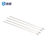 值盾 ZSYDON 304不锈钢扎带 4.6*800mm 条