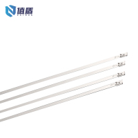 值盾 ZSYDON 304不锈钢扎带 8*300mm 条