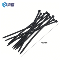 值盾 ZSYDON 扎带 10*400mm包